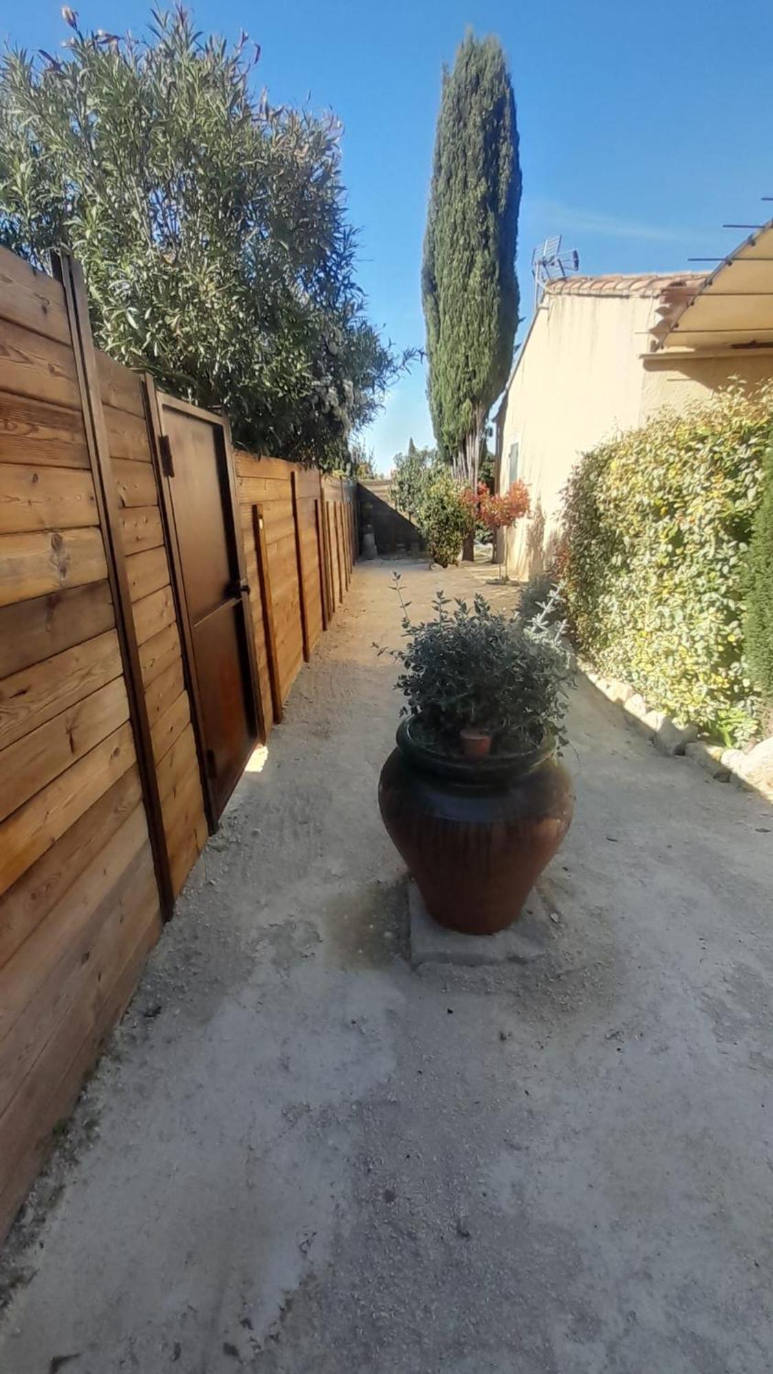 Le Mazet De Louise Apartment Saint-Remy-de-Provence Ngoại thất bức ảnh
